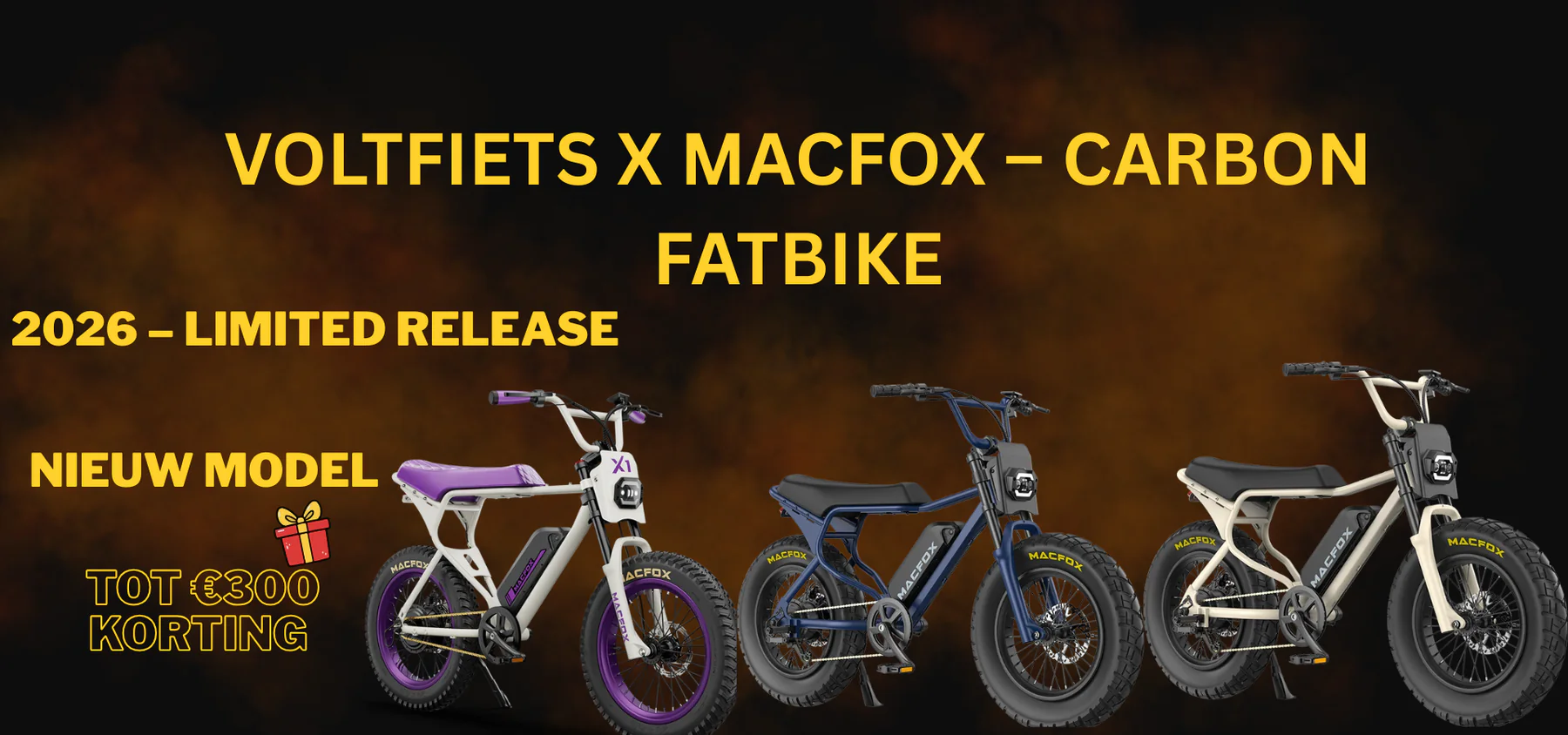 Jouw Ideale Ouxi Fatbike in Haarlem